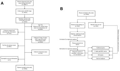 Survival Nomogram for Metastasis Colon Cancer Patients Based on SEER Database